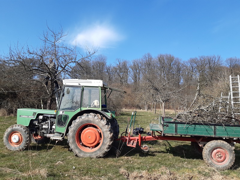 Baumschnitt Transport Traktor
